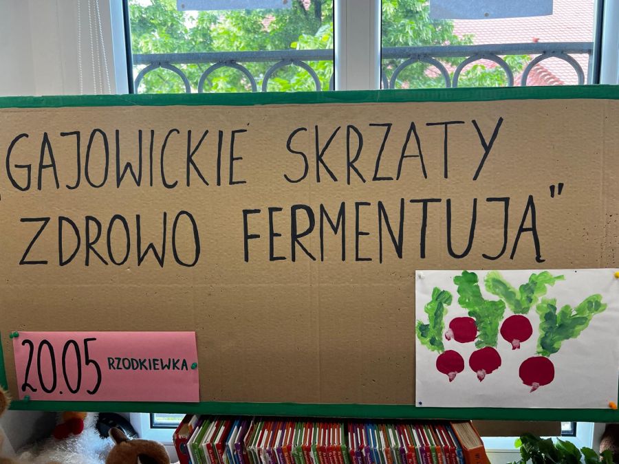 Gajowickie Skrzaty zdrowo fermentują - rzodkiewki