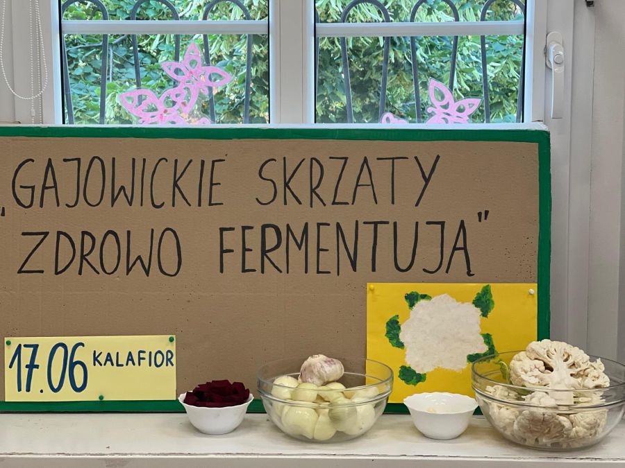 Gajowickie Skrzaty zdrowo fermentują - kalafior