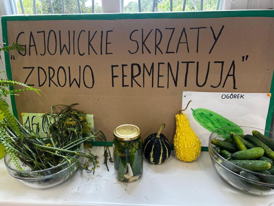 Gajowickie Skrzaty Zdrowo Fermentują - ogórki