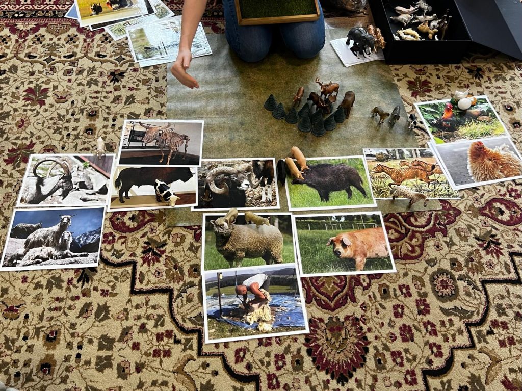 Warsztaty przyrodnicze- Świat zwierząt-od natury do domu