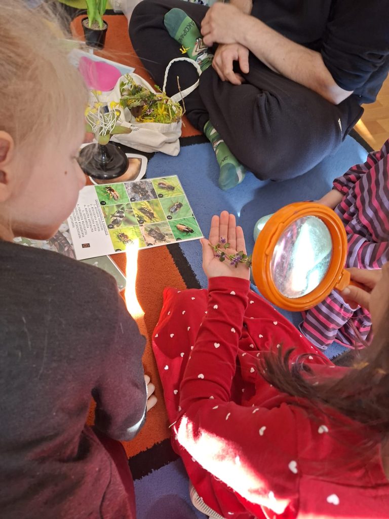 Warsztaty przyrodnicze - Do czego roślinom potrzebne są kwiaty